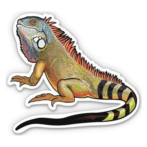 Iguana - 5" Vinyl Sticker - For Car Laptop I-Pad - Waterproof Decal