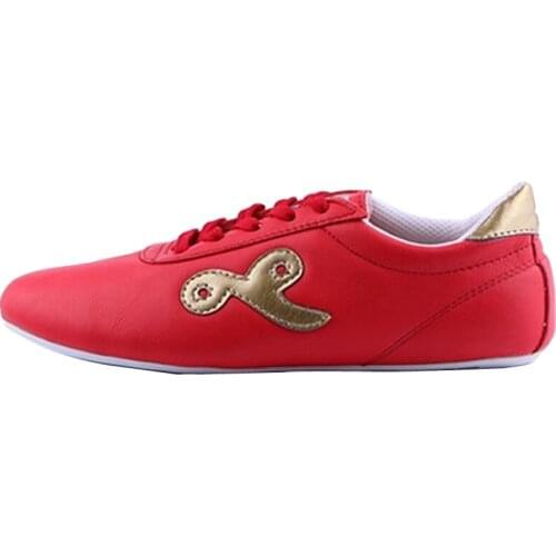 Chinese Traditional Tai Chi Kung Fu Shoes for Team Performance Match Martial Arts Shoes for Unisex Adult Exercise Tai Chi Shoes