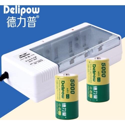 No. 1 rechargeable battery, rechargeable battery, battery No. 1, battery D Rechargeable Li-ion Cell