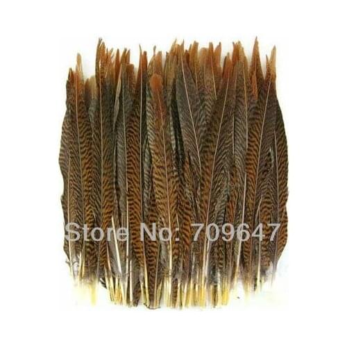50PCS/LOT 12-14" 30-35cm NATURAL Golden Pheasant Tail Feathers,Loose Golden Pheasant Feathers, Feathers Decoration