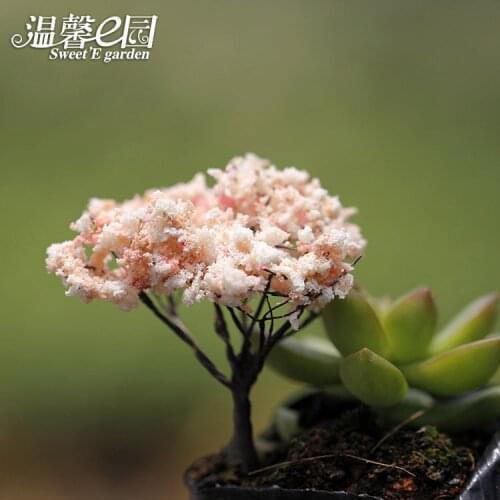 Micro Landscape Arrangement Simulates Christmas Tree Simulates Cherry Blossom Romanticflower Fairy Garden Miniatures