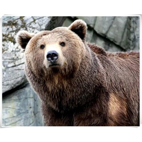 The World Of Animals Diamond Embroidery Mosaic round Full Diamond Painting Rhinestones Kits For Needlework Brown Bear Series2