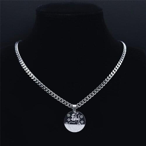 Punk 12 Constellations Stainless Steel Sagittarius Necklaces Women Silver Color Small Astrology Chain Necklace Jewelry N9202S01