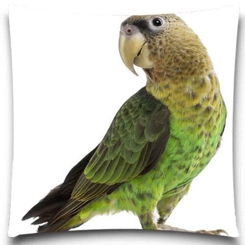 Green feather Parrot 2D print creative Pillow case Square cotton polyester cushion cover 5 size 9 style