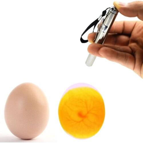 Incubator Eggtester Egg Candling Lamp LED Super Cold Equipment Poultry Incubation Tool