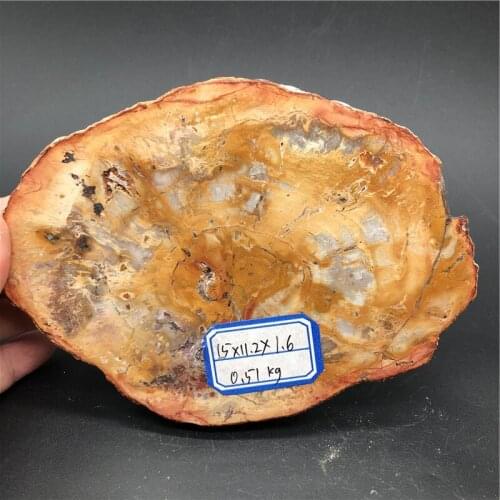510g Natural Petrified Wood Specimen Semi-precious Stone Slices Crystals Healing Stones for Home Decor
