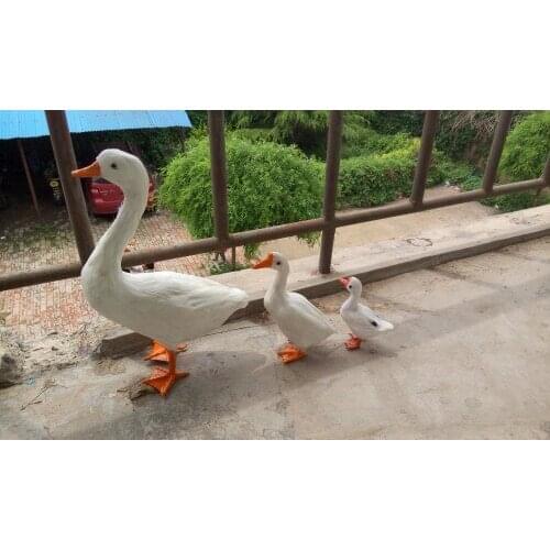 White goose hard model toy,polyethylene&furs feathers goose craft,home decoration,Xmas gift 0307