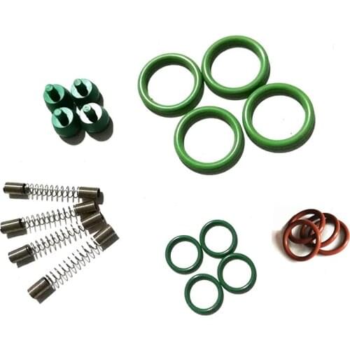 20pcs/set NT401 common rail LPG CNG gas injection spring sealing ring repair kit For Elysee