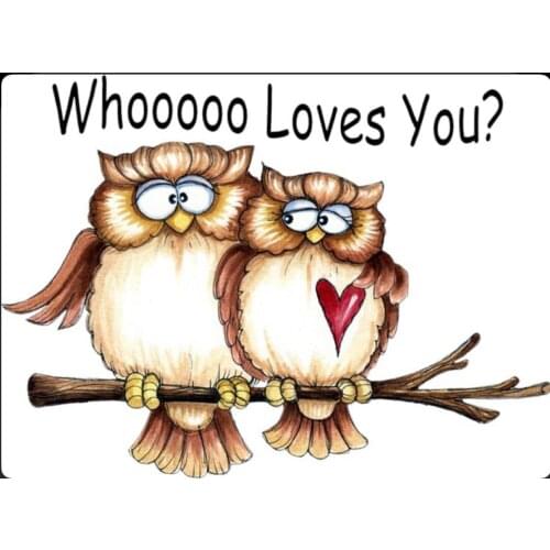 Owl Transparent Silicone Rubber Stamp And Metal Die Sheet Cling Scrapbooking DIY Cute Pattern Photo Album