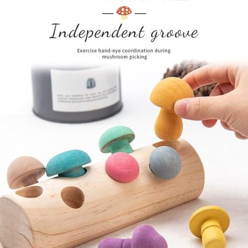 1Set Wooden Rainbow Blocks Mushroom Picking Game Developmental Shape Matching Assembly Grasp Montessori Educational Baby Toys