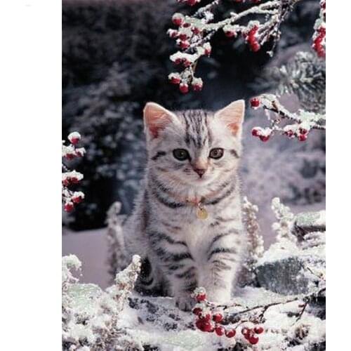 Full Drill Square Diamond Mosaic Sale Animal Rhinestones Pictures Diamond Painting Cat Diamond Embroidery Snow Needlework