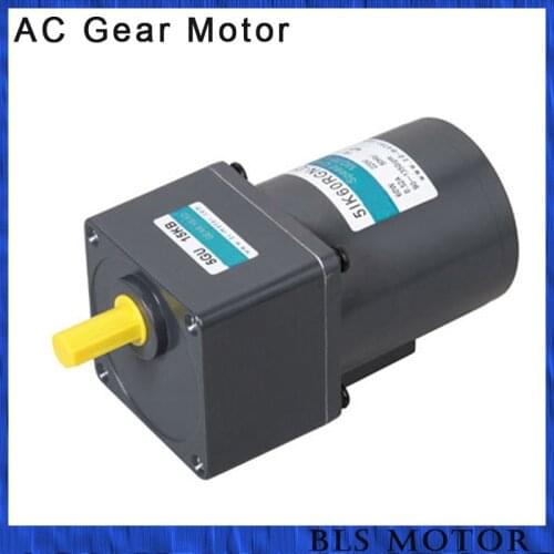 60W ac gear motor with speed controller gear reducer induction motor