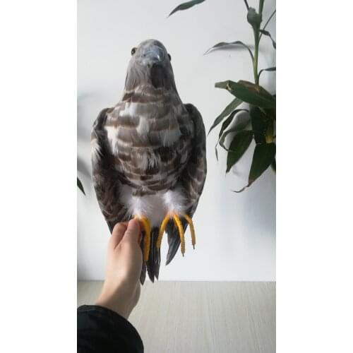 Big simulation eagle model foam&feather eagle bird doll gift about 48cm