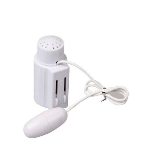 Voice Control Portable Sexy VoiceMultispeed Jump Vibrating Eggs Bullet Waterproof Sex Toys Vibrators for Women Sex Product ST379