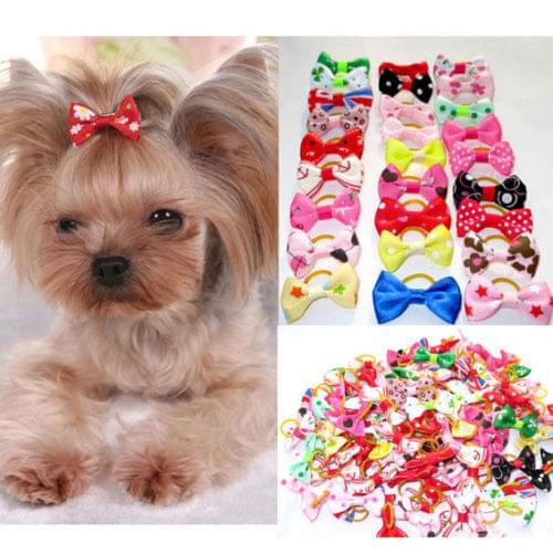Cute Lot Assorted Pet Cat Dog Hair Bows Hairpins with Rubber Bands Grooming Accessories Pet Decor