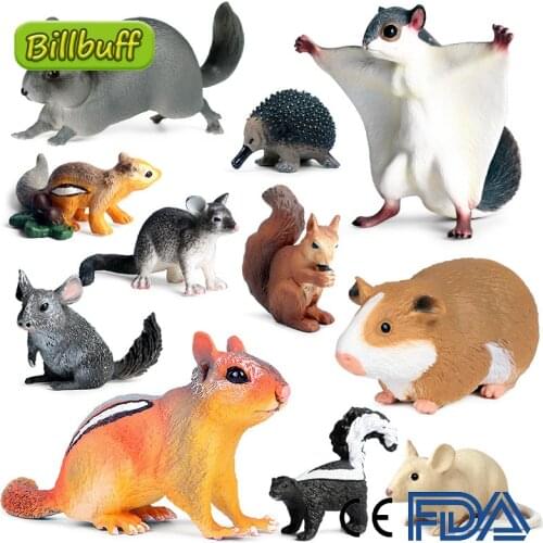 Mini Simulation Reptile Figures Mouse Squirrel Totoro Cat Raccoon Mole Model Collection Cognition Educational Toys for Childrens
