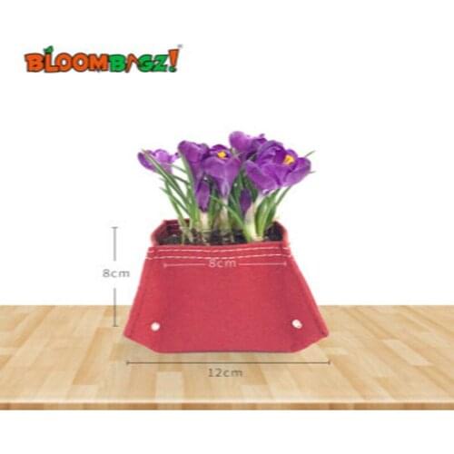 2Pcs Succulent Plant Pot Polygonal Color Creative Soft Potted Container Window Sill Desktop Indoor Small Planting Bag Contr