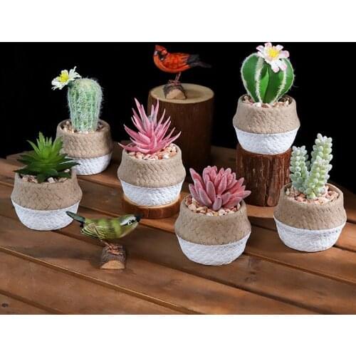 Creative cement basin cactus simulation succulent bonsai decoration office desktop decoration home porch decoration