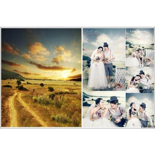 Vingtage Photography Backdrops Outside View Photo Background Studio Custom Backdrop Long Road Sunset Backdrops Photo Props