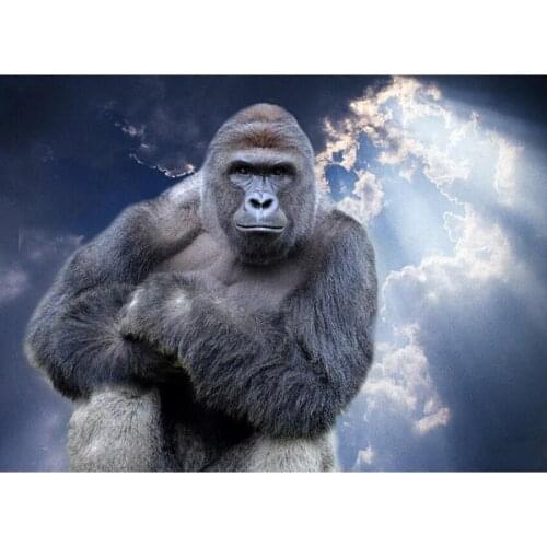 5D DIY Diamond Painting Cross Stitch Diamond Embroidery Gorilla Diamond Mosaic Full Drill Square Round Handmade Gift Decor