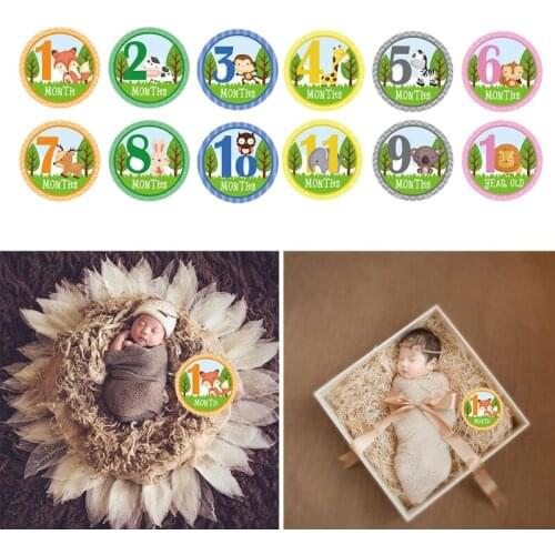 12 Pcs/Set Cartoon Animal Baby Monthly Stickers Milestone Memorial Month Sticker