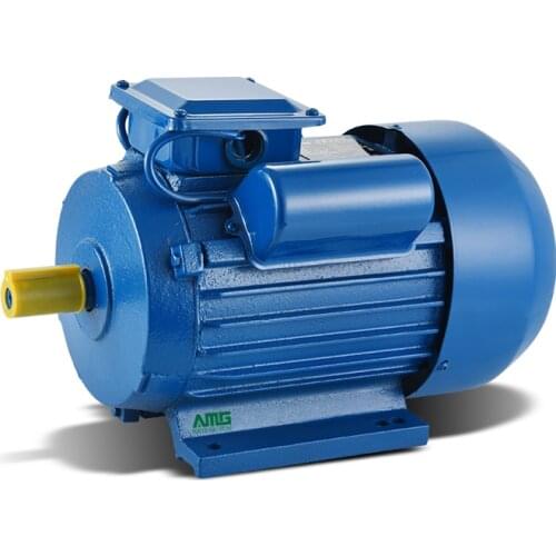 YL series 220V AC 50Hz 750W 1100W 1500W 2200W 3000W Asynchronous motor