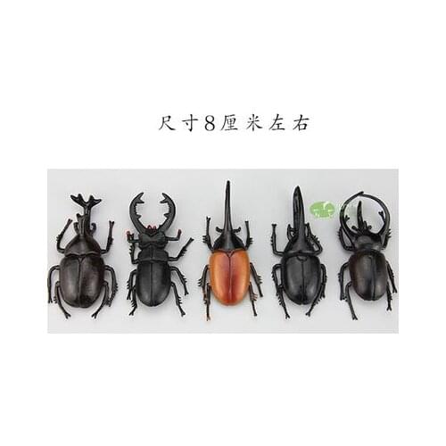 Pvc figure The simulation model toyThe simulation model insect beetle Beetle scarab beetle styles catalpa beetle 5pcs/set