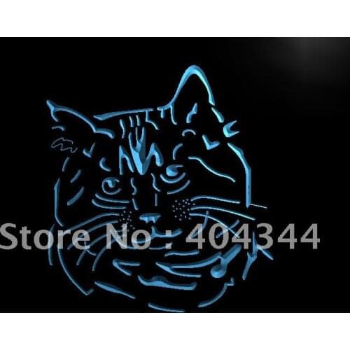 LB987- Pixie Bob Cat Kitty Pet Decor NR Light Sign home decor crafts