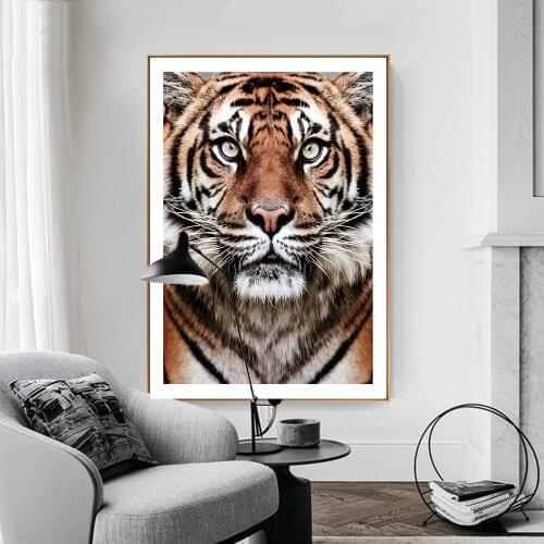 Modern Tiger Face Canvas Art Animals Wall Art Poster Pictures For Living Room Home Decor Picture Wall Canvas Print Paintings