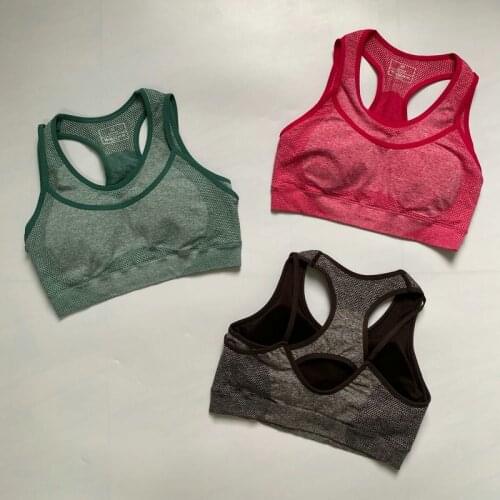 New Vital Rise Seamless Sport Bra Women Fitness Cropped Top Padded Push Up Double Layer Bra Gym Brassiere Workout Active Wear