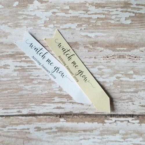 Watch me grow Succulent Stake, Succulent Stake, Design Plant Tag, Custom Flag Tag, Baby Shower, Baby Sprinkle Personalised Tag