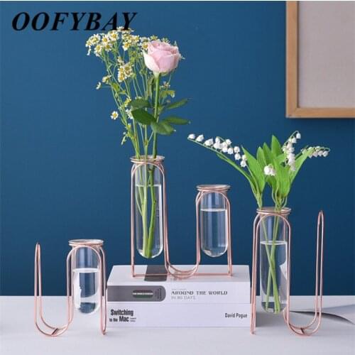 Nordic Transparent Glass Vase with Iron Holder Light Luxury Living Room Hydroponics Container Home Decorations Furnishings