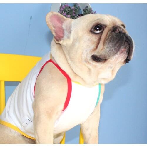 Tiger Dog New Summer Dog Clothes Soft Cotton T-shirt Thin Vest Striped For Small Medium Corgi Teddy Dog Puppy Sling Pet Clothing