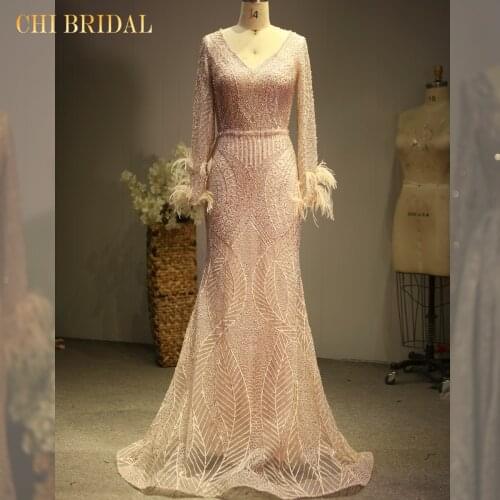 Elegant V-Neck Evening Dress Light Gauze Feather Decoration Long-Sleeved Tail Evening Dress Real Model Picture
