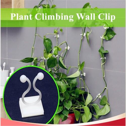 10/20/50pcs Plant Climbing Wall Clip Invisible Wall Vines Fixture Wall Sticky Hook Holder Plant Cages & Supports
