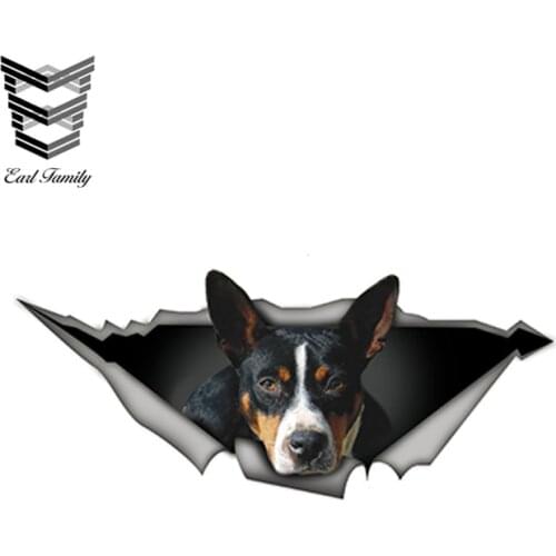 EARLFAMILY 15cm x 6cm Dobby 3D Car Sticker Decal Funny Creative Modified Stickers Waterproof Car Styling Sticker Decoration