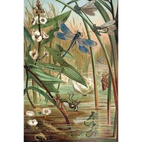 Glymg Embroidery Handicrafts Diy Diamond Embroidery 5d Diamond Craft Painting Swamp Party Dragonfly Diamond Wall Arts Decor