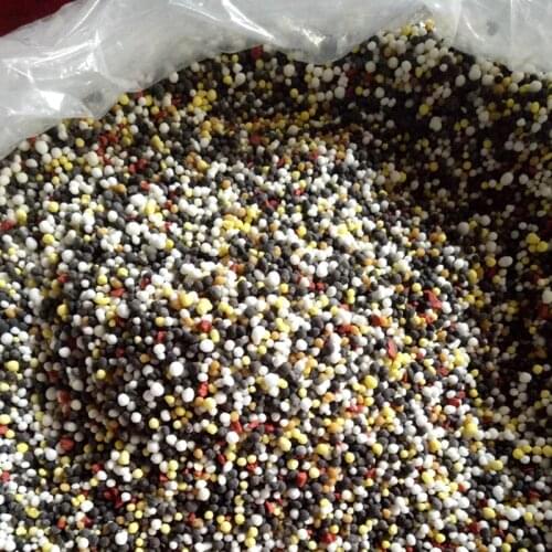 200g compound fertilizer NPK 30-4-6 Slow release fertilizer
