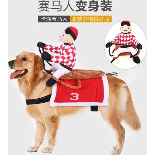 Royal want Clothes And Footwear For Dogs