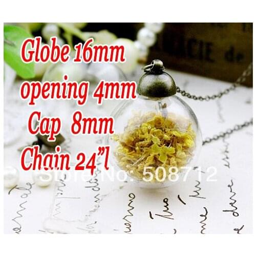 20sets 16mm Clear Glass Globe Bottle Pendant & Bronze Necklace & Bronze cap
