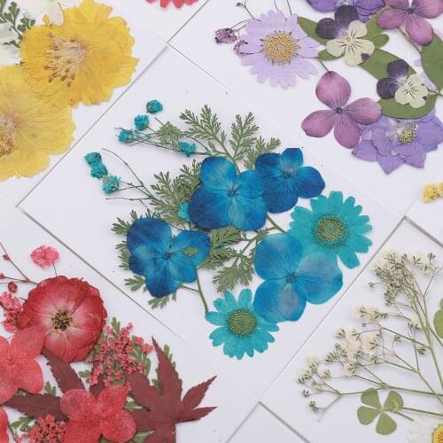 Nail Art Design Beautiful Dried Flower Material Package Colorful Gypsophila Embossed Package DIY For Nail Art Decoration