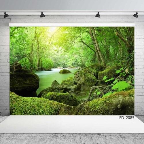 Scenic Green Lake Forest Jungle Photography Backgrounds Customized Photographic Backdrops For Photo Studio Children Photocall