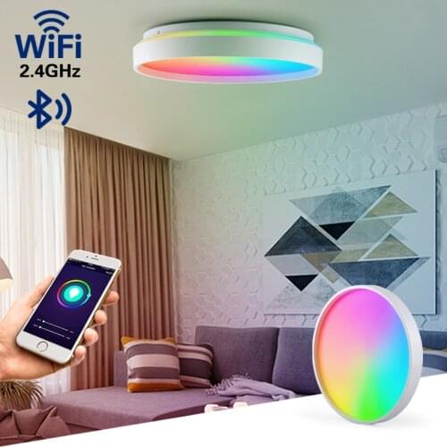 WiFi Smart Ceiling Light Bluetooth Lamp 36W 24W Intelligent Light Dimmable RGB CW WW Indoor Ceiling Light Tuya App