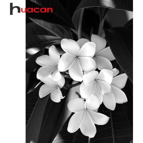 Huacan Full Drill Diamond Painting Flower Black And White Diamond Embroidery Cross Stitch Floral Home Art Wall Decoration