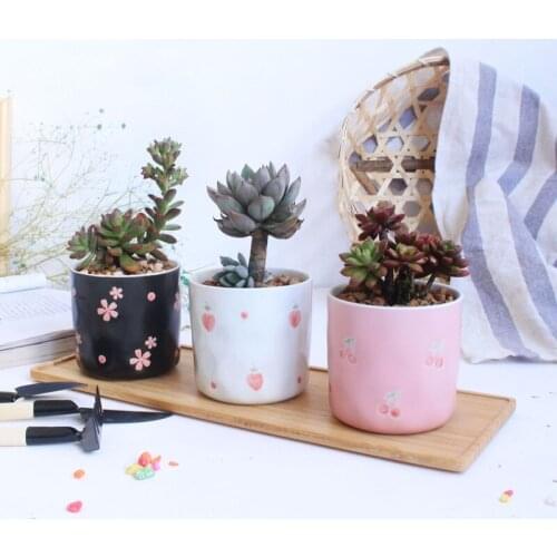 Ceramic Succulent Pots for Indoor Plants Flower Cute Small Flower Pots, Plant Pots for Office Kitchen Home Decor