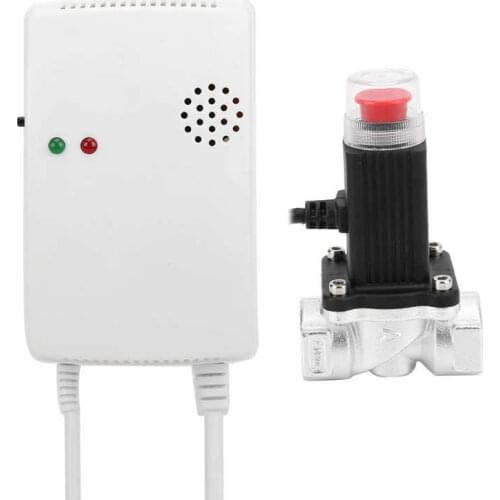Portable Radio portable Fuel Coal Natural Gas Alarm Independent Wall‑Mounted Household with Drive Solenoid