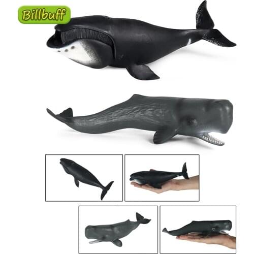 2021 Simulation Ocean Animals Plastic Action Model Bowhead Whale Sperm Whale Figures Collection Toys for Children Ornaments Gift
