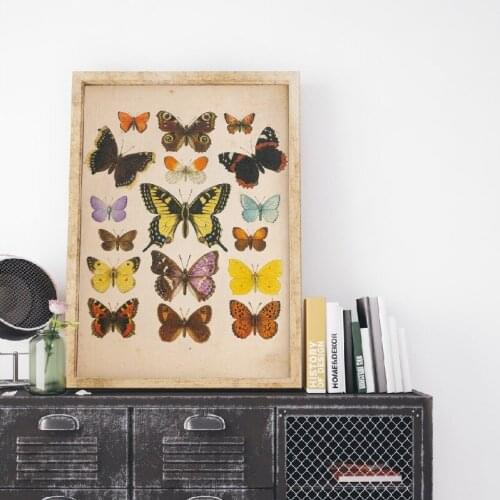 Butterflies Vintage Poster and Print Insect Antique Illustration Wall Art Canvas Painting Picture for Living Room Home Decor