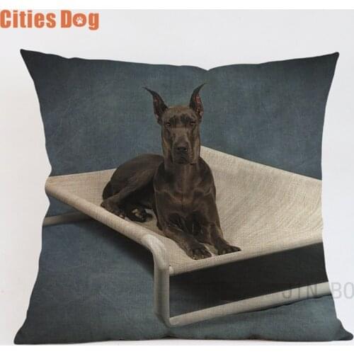 Animal Dog Photo pillow covers decorative cushion covers for sofa pillow case Great Dane dogs throw pillowcase pillow cases deco
