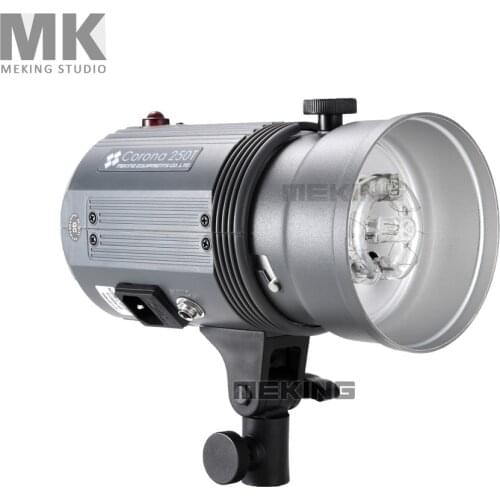 250W 250T 220V Professional Photography Studio Continuous Lighting Photo Studio Strobe Flash Mono light